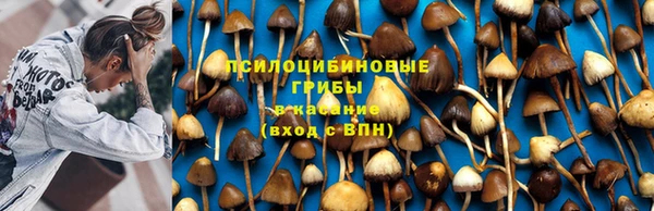 мяу мяу кристалл Ладушкин