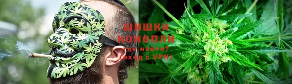 ГАЛЛЮЦИНОГЕННЫЕ ГРИБЫ Лихославль