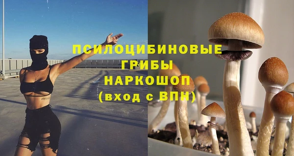 винт Лиски