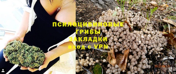 ГАЛЛЮЦИНОГЕННЫЕ ГРИБЫ Лихославль