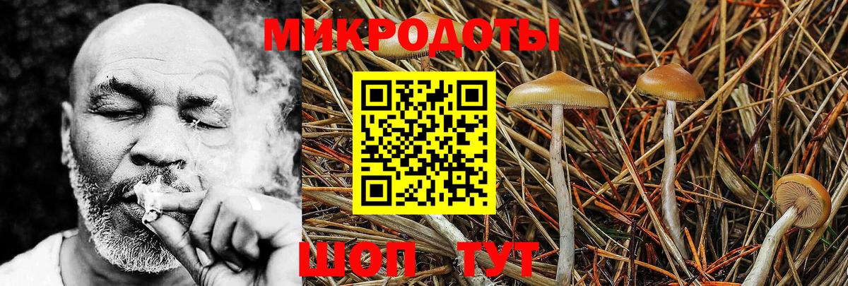 Галлюциногенные грибы MAGIC MUSHROOMS Новошахтинск