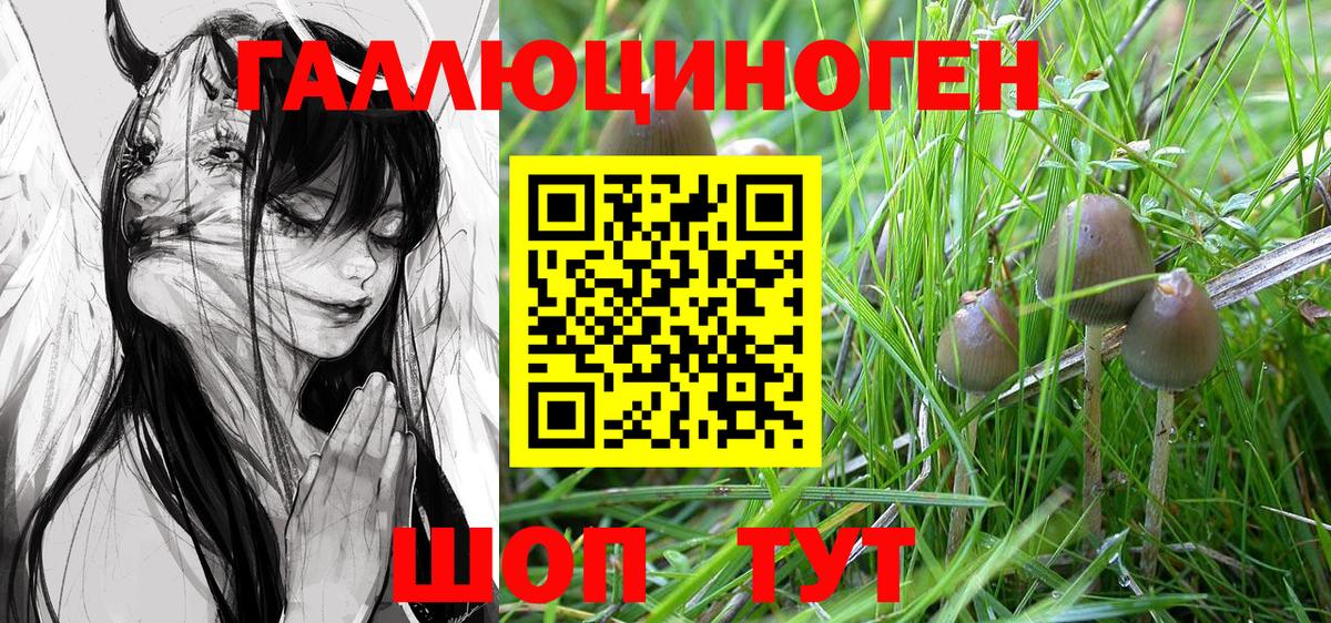 Новошахтинск  Псилоцибиновые грибы ЛСД  Галлюциногенные грибы Cubensis  Вход с VPN 