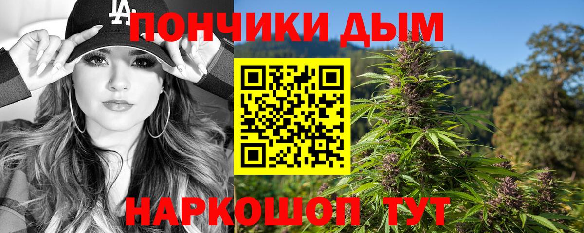 Марихуана ГИДРОПОН  МАРИХУАНА VHQ  Новошахтинск  МАРИХУАНА сатива 